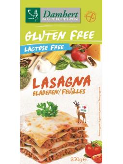 Lasagne glutenvrij