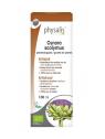 Cynara scolymus bio