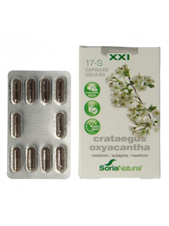 Crateagus oxyacantha 17-S