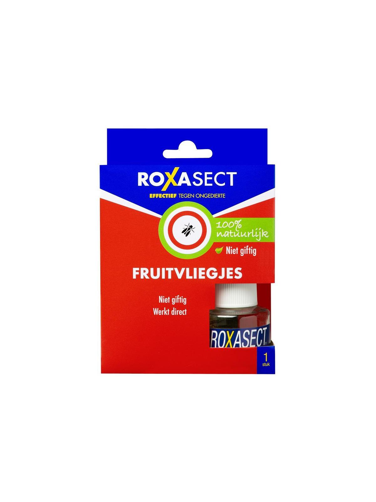 Fruitvliegjes