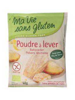 Bakpoeder 4 x 10 gram glutenvrij bio