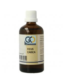 Ficus carica bio