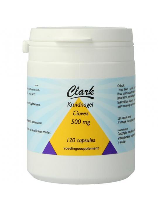 Kruidnagel/clove/lavanga