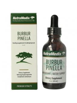 Burbur pinella