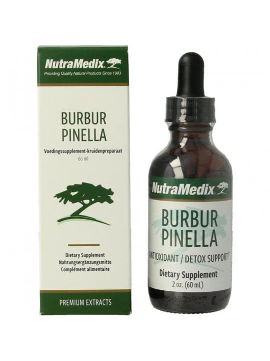Burbur pinella