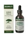 Burbur pinella