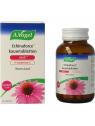 Echinaforce kauwtablet sterk + vitamine C
