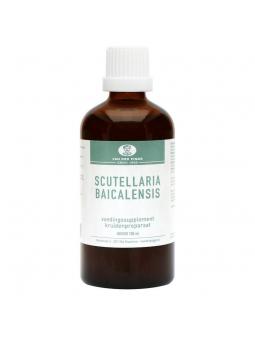 Scutellaria baicelensis tinctuur
