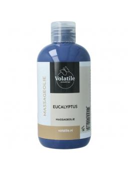 Massageolie eucalyptus (Oslo)