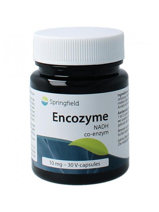 Encozyme NADH 10 mg