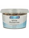 Mulberry bessen (moerbeien)