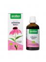 Echinacea forte + vegan bio
