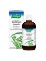 Avena sativa (nacht)rust