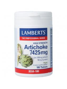 Artisjok extract
