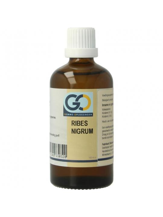 Ribes nigrum bio