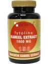 Fytoline kaneelextract 1000mg