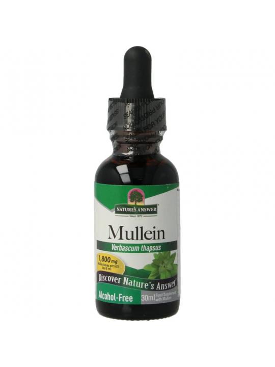 Mullein verbascum thapsus extract alcoholvrij