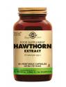 Hawthorn (Meidoorn) Extract