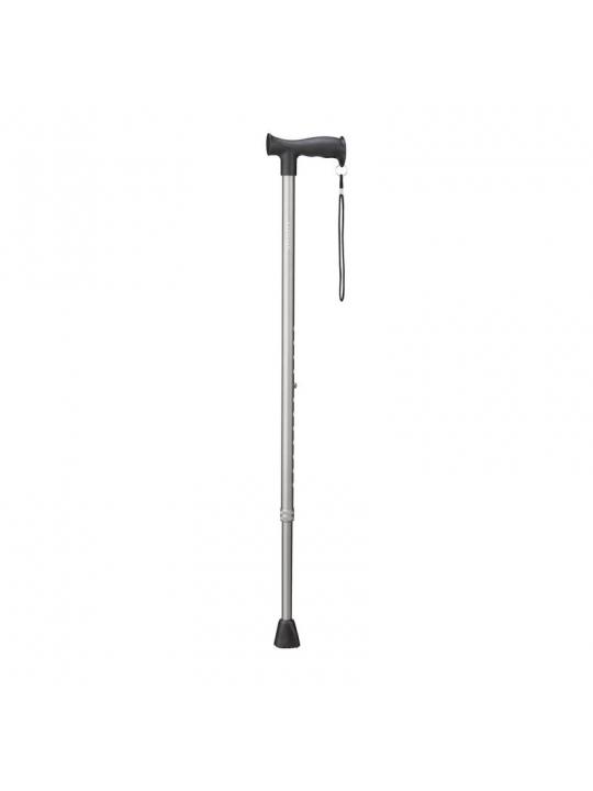 Wandelstok grijs