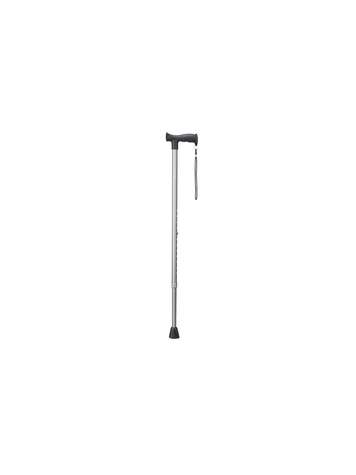 Wandelstok grijs