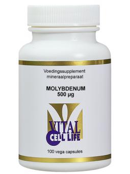 Molybdenum 500 mcg