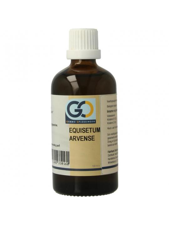 GO Equisetum arvense bio