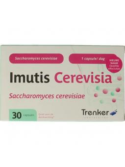 Cerevisia