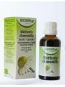 Matricaria chamomilla bio
