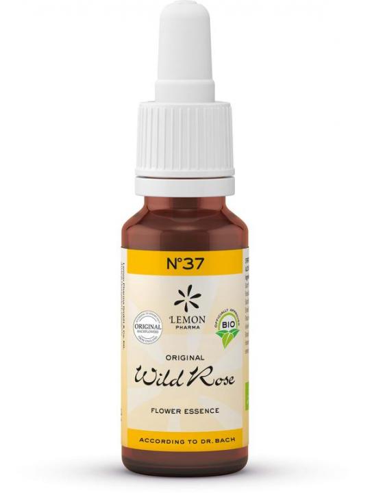 Wild rose bio