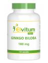 Ginkgo biloba