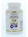 Magnesium tauraat plus B6