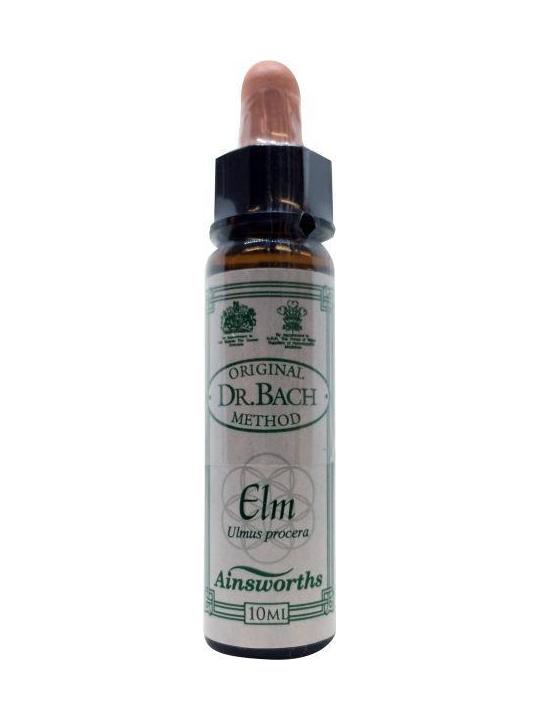 Elm Bach