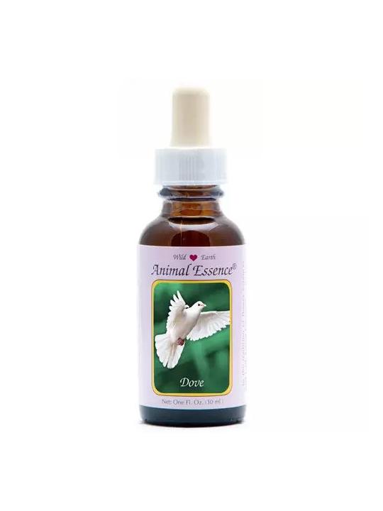 Dove (duif)