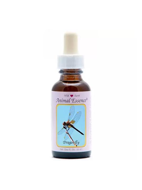 Dragonfly (libelle)