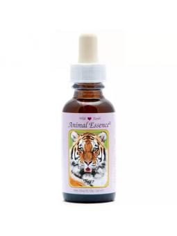Tiger (tijger)