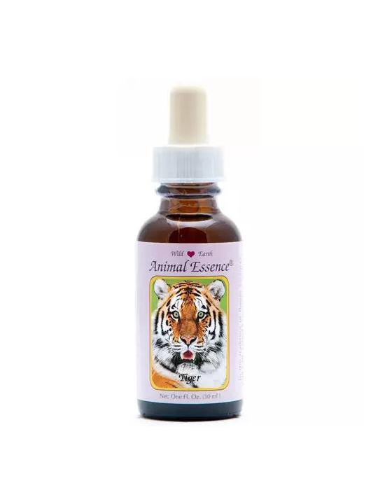 Tiger (tijger)
