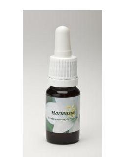 Hortensia