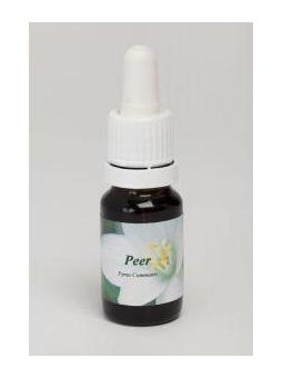 Peer