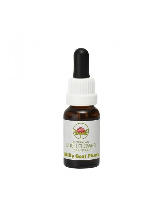 Billy goat plum