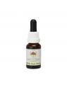 Billy goat plum