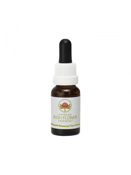 Peach-flowered tea tree