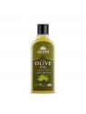 Pure olive oil cold pressed