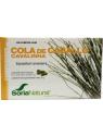 Equisetum arvense 12-S