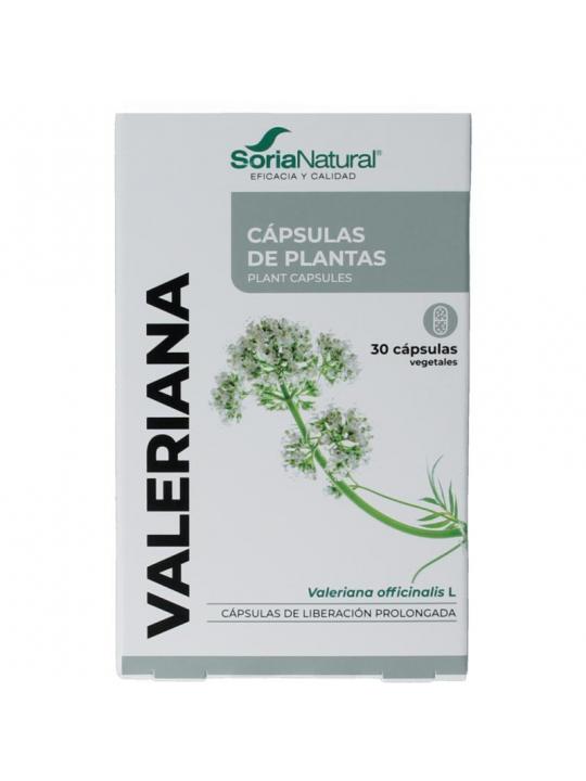 34- S Valeriana XXI