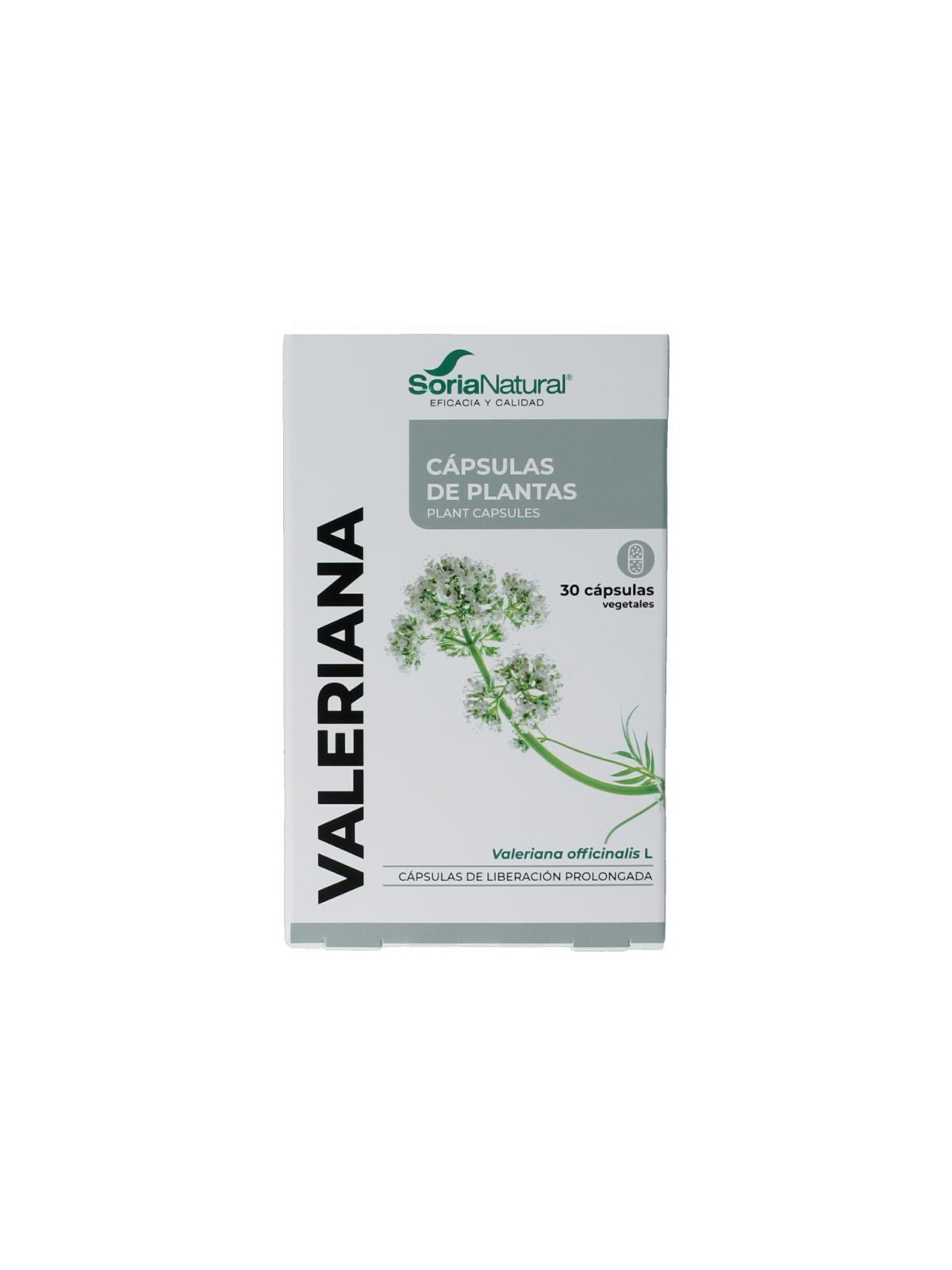 34- S Valeriana XXI