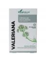 34- S Valeriana XXI