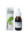 Ginkgo biloba XXI extract