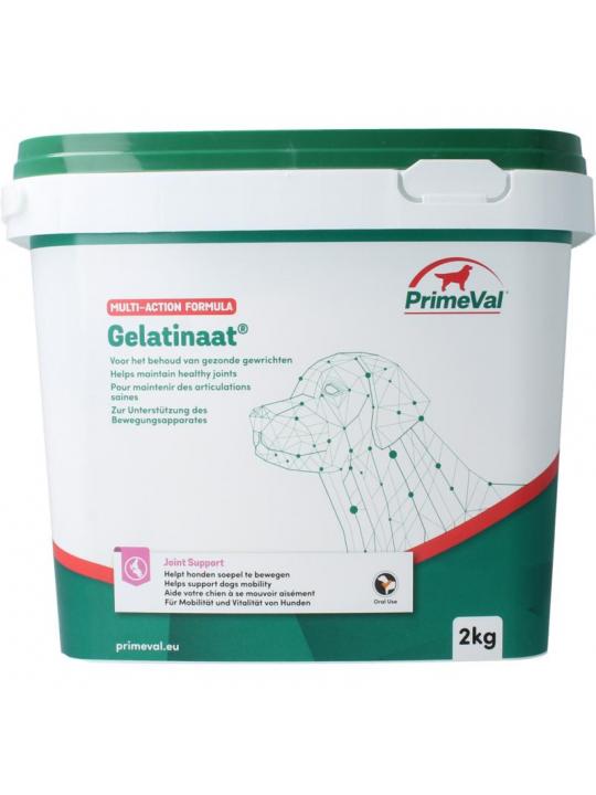 Gelatinaat hond