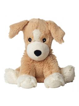 Hond puppy