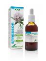 Composor 5 stressor XXI